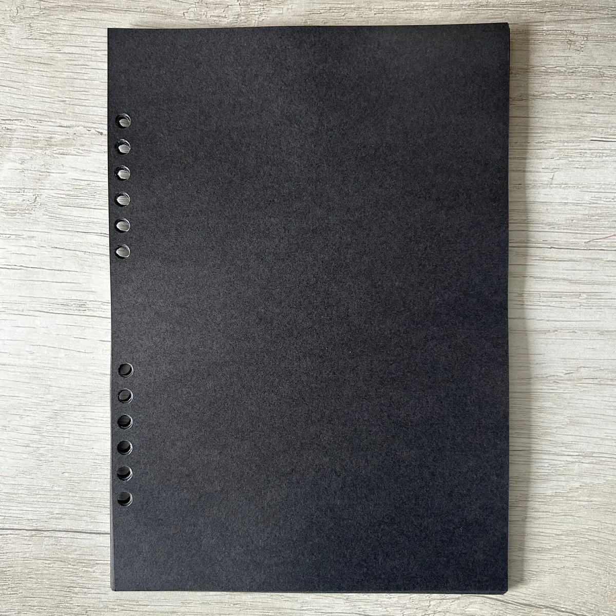 Repuesto de Hojas Negras Premium